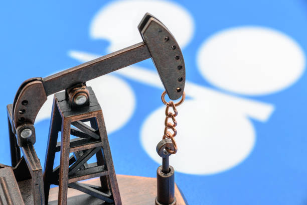 opec--thao-luan-ve-su-phuc-hoi-nhu-cau-dinh-tre-su-tro-lai-cua-dau-libya